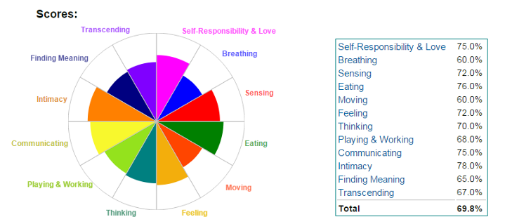Wellness Wheel And Scores